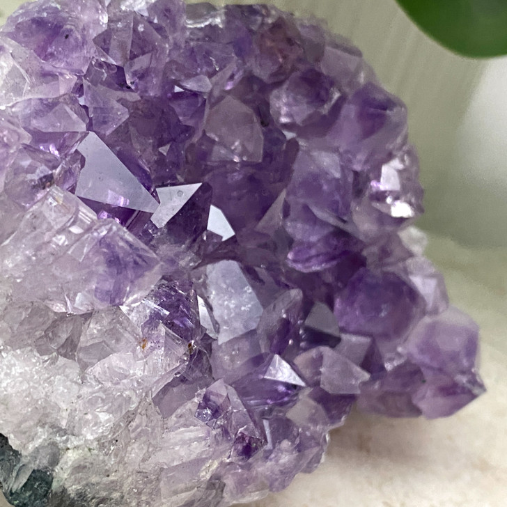 Amethyst Cluster