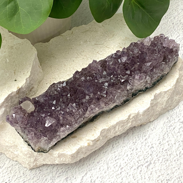 Amethyst Cluster