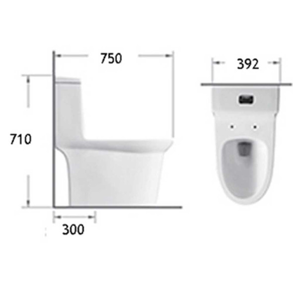 BRAUHN ARES 6679T ONE-PIECE WATER CLOSET BRAUHN ARES 6679T ONE-PIECE WATER CLOSET