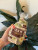 Color Me Coco™ 400ml