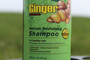 Ginger Shampoo and Conditioner Essence Hair Loss and Anti Dandruff Treatment Bonus Pack 2 x 16 fl. oz.