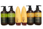 Ultimate Trio Shampoo and Conditioner Gift and Family Pack

Luxury Bundle Package. Let the hair feel the difference. Buy Now and Save.

Macadamia Rejuvenating Shampoo is designed to add moisture and protection to all hair types and is excellent for dry, damaged hair. Freely and Gently cleanses chemically treated, damaged hair Replenishes moisture with no heavy build-up Protects from harsh daily environmental elements Moisturizing Rinse. Macadamia Natural Oil Rejuvenating Shampoo gently cleanses your hair of excess dirt, oil and impurities, while treating your locks to an intensive moisture boost. Say hello to soft and silky hair with Macadamia Natural Oil.  (10 oz.)

Macadamia Moisturizing Conditioner is a daily conditioner that gently nourishes, detangles, moisturizes and protects leaving hair soft, manageable and ready to style. Gently detangles Nourishes and protects Leaves hair soft and manageable Provides UV protection Reduces static Especially beneficial for dry and damaged hair.  The perfect daily conditioner, it's specially formulated to nourish, de-tangle and soften your locks, leaving your hair manageable and with smooth and sleek texture. Particularly ideal for dry, damaged or colour treated hair, it works to intensely hydrate your hair and improve moisture levels. Infused with Macadamia's unique signature scent, it will leave your locks wonderfully fragranced, as well as making them easier to control and style. (10 oz.)

Arganmidas Moroccan Argan oil Shampoo Gently cleanses the hair fiber, provides softness and detangles. Hair is nourished with Vitamin E, Omega 3 and Omega 9, and looks healthy and shiny from roots to ends. Nourishing Shampoo is designed to all hair types and is excellent for dry, damaged hair. Gently cleanses chemically treated hair. (8 oz.)

Arganmidas Moroccan Argan Oil hydrating Conditioner Repairs weak, dry and damaged hair.
Rebuild and revitalize your hair, whether it is perfectly healthy or suffering from heat or color damage. Leaves your hair with a wonderful feel of silky and lustrous shine. Completely hydrated and full of elasticity. (8 oz.)

 

Argan Deluxe Nourishing Shampoo Cleans and Nourishes This argan oil shampoo gently cleanses the hair fiber, provides softness and detangles. Hair is nourished with Vitamin E, Omega 3 and Omega 9, and looks healthy and shiny from roots to ends. Directions: Distribute the argan shampoo evenly through wet hair. Massage gently to lather. Rinse with warm water. Repeat if necessary. (10 oz.)

Argan Deluxe Nourishing Conditioner  Nourishes and Protects This argan oil conditioner provides instant nourishment, delivers shine, softness and suppleness to the hair. Fiber is protected against dryness and environmental damage. Directions: Distribute the argan oil conditioner evenly throughout shampooed and towel dried hair. Leave on for 2-3 minutes. Rinse thoroughly. (10 oz.)

 

 

 

 

 