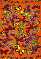 Butterfly Fringed Sarong orange