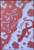 Tropical life Coral Fringed Sarong