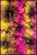Hibiscus starburst sarong pack of 5 assorted wholesale