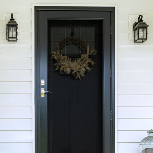 ProVia DuraGuard Full View Screen Storm Door