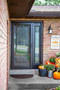 ProVia Decorator French Storm Door