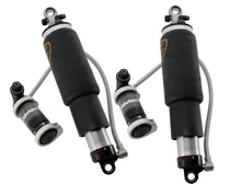 Ridetech Rear TQ Series 4-Link ShockWaves for 2015-2026 Ford F-150 - 12296011
