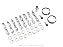 Race Star 1/2in Closed Acorn Lug - Set of 16 #603-1435-16