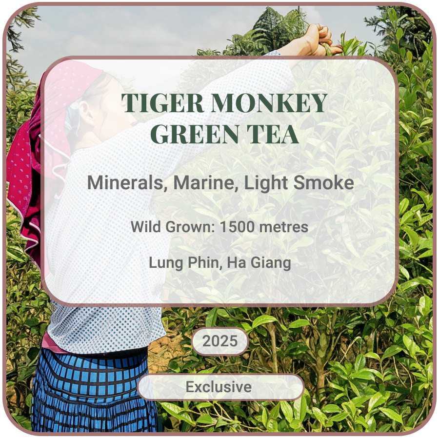 Tiger Monkey Green Tea, Lung Phin, Ha Giang, Vietnam