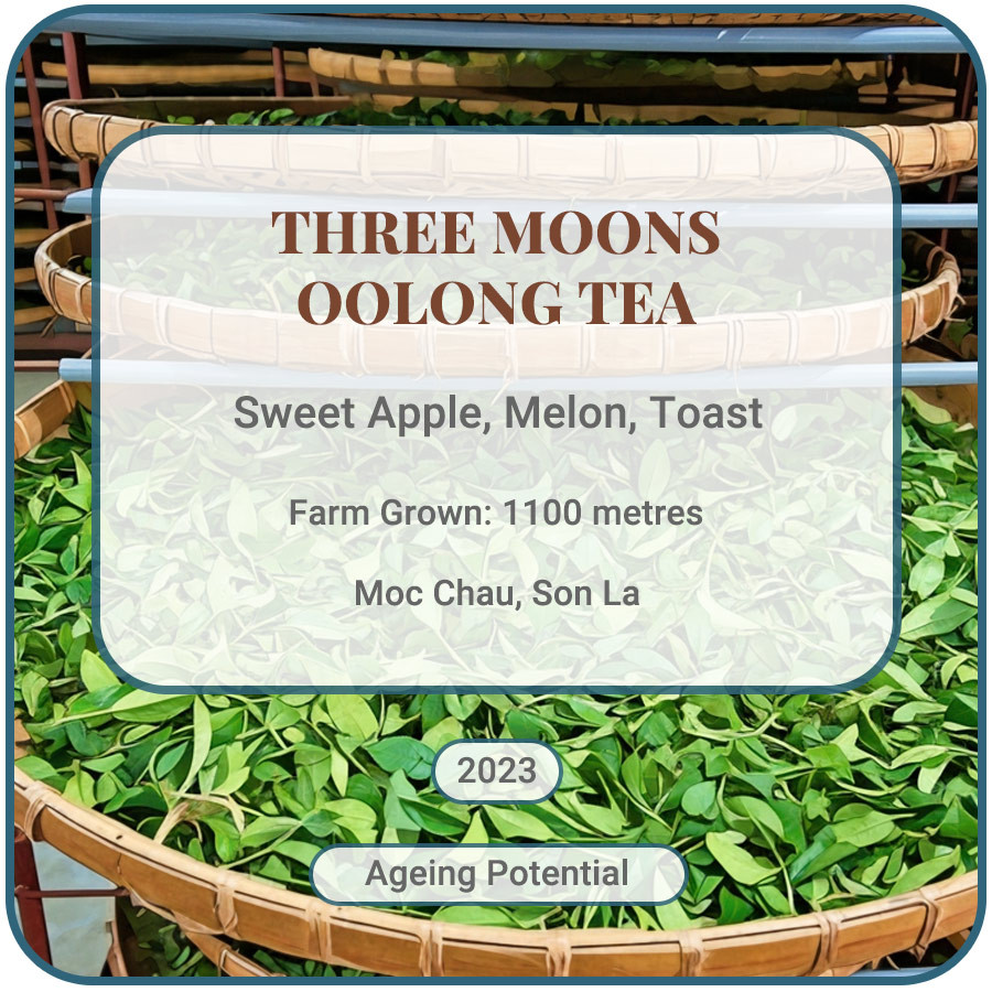 Three Moons Oolong Tea Vietnam