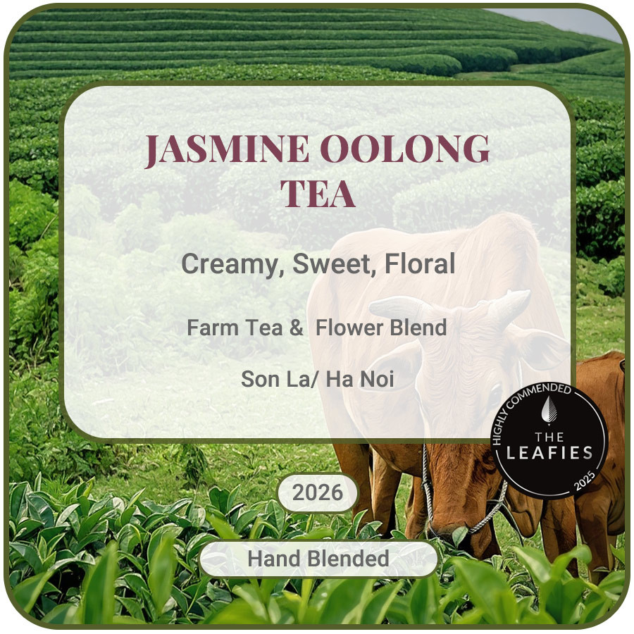 Jasmine Oolong Tea Vietnam