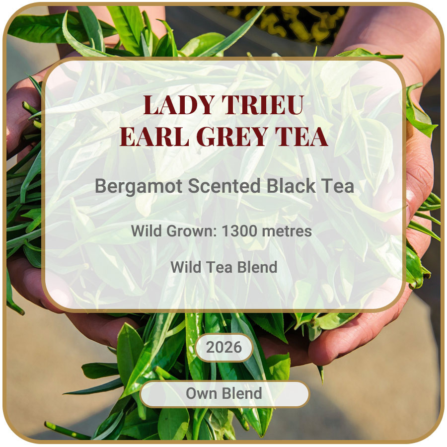 Lady Trieu Earl Grey Tea Vietnam