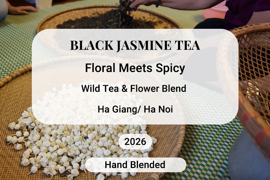 Black Jasmine Vietnam Tea
