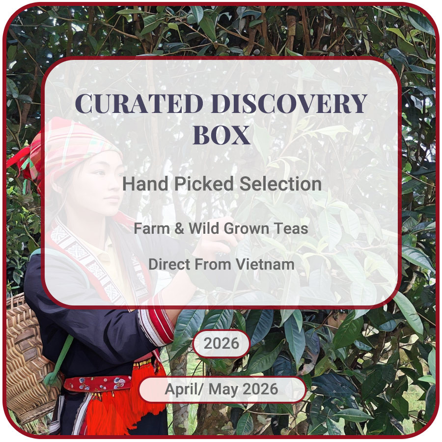 Curated monthly tea collection of Vietnam Tea
