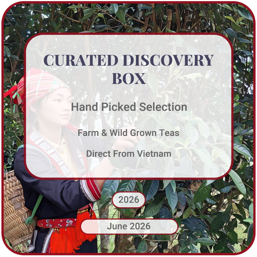 Curated monthly tea collection of Vietnam Tea