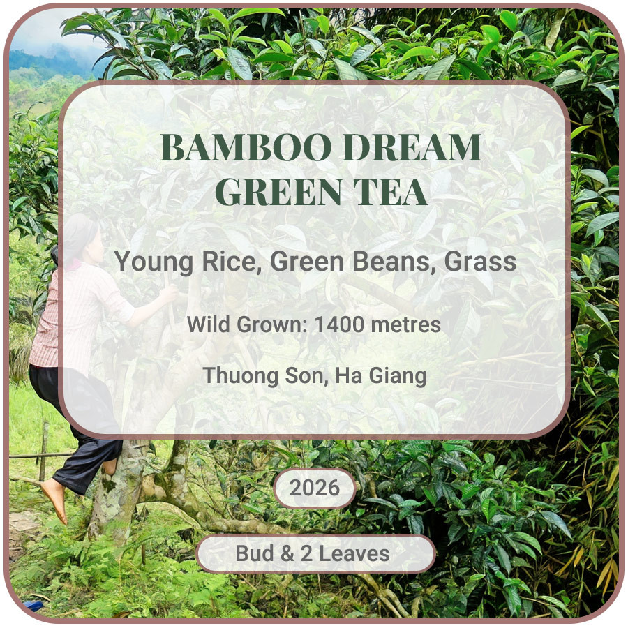 Bamboo Dream Green Tea
