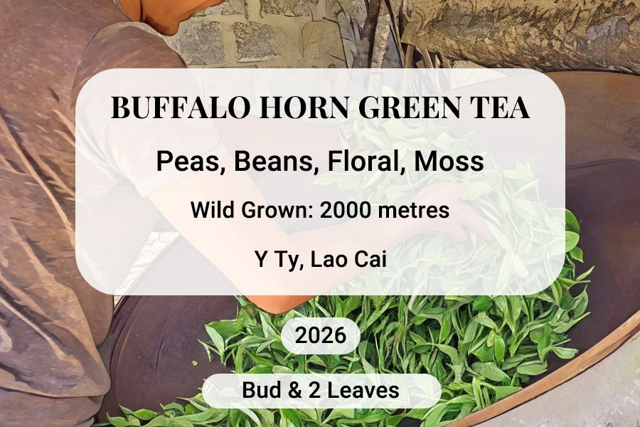 Buffalo Horn Green Tea