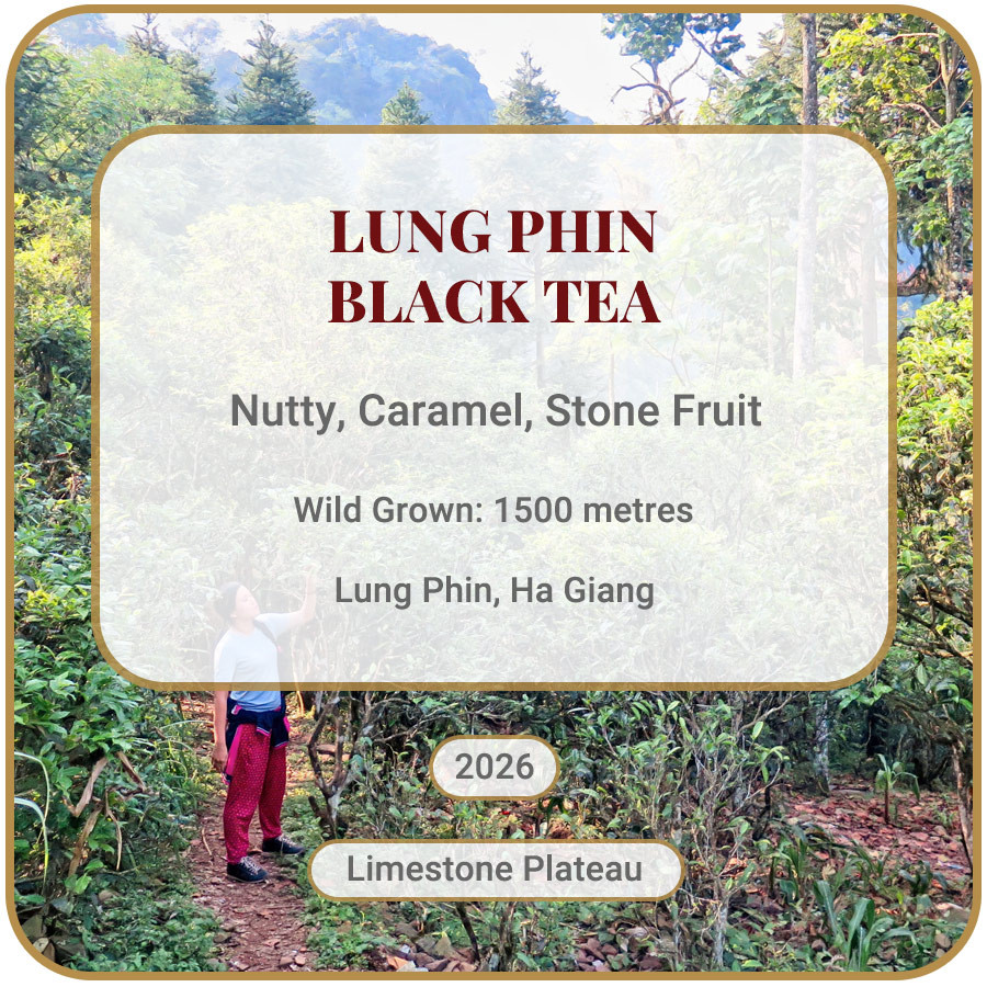 Lung Phin Black Tea