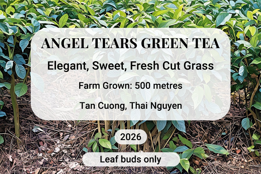 Angel Tears Green Tea