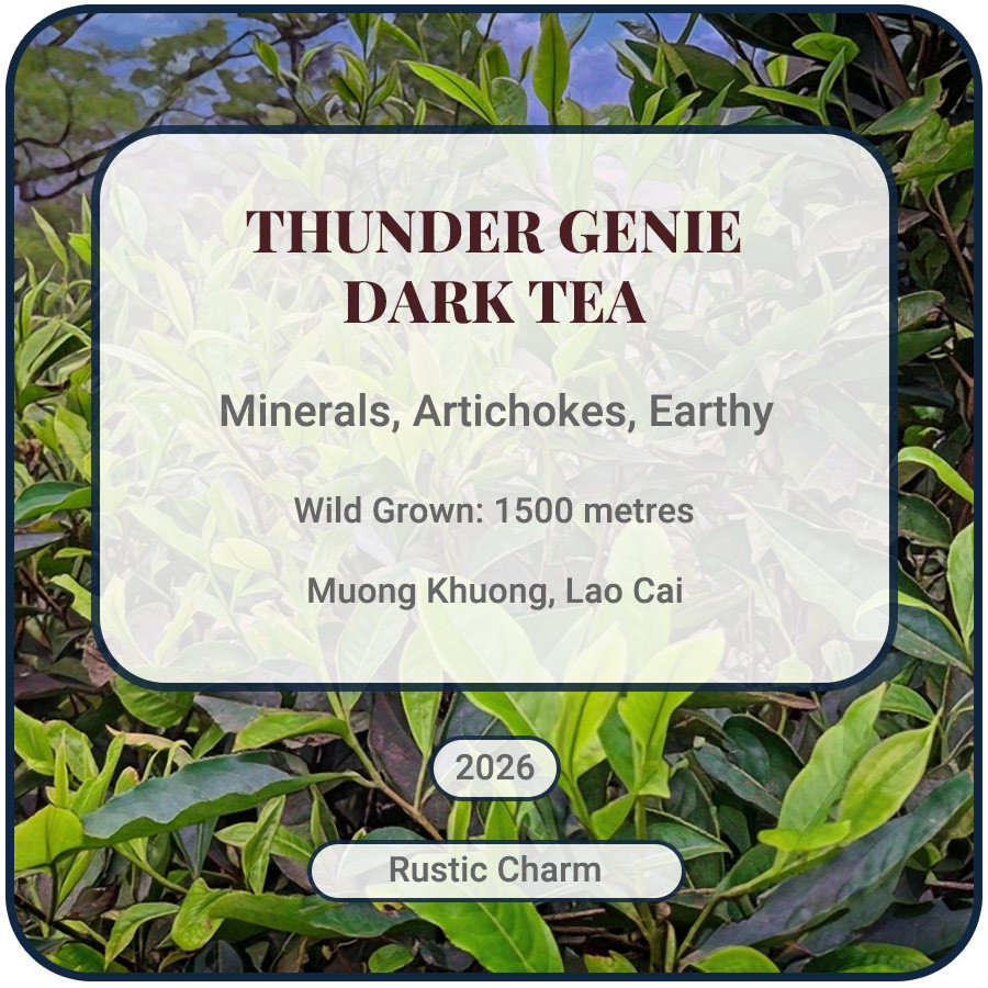 Thunder Genie dark tea Vietnam sheng puerh