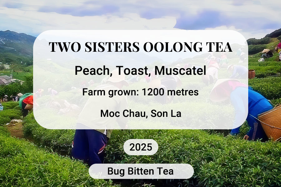 Two Sisters Oolong Tea