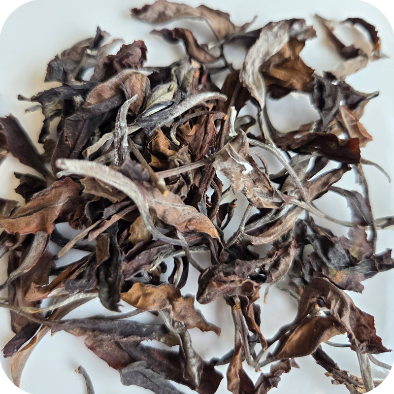 Orchid Path White Tea Dry Leaf