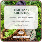 Five Penny Green Tea, Suoi Giang, Vietnam