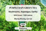 Purple Rain Green Tea, Lao Cai, Vietnam