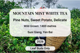 Mountain Mist White Tea, Suoi Giang, Vietnam.