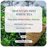 Mountain Mist White Tea, Suoi Giang, Vietnam.