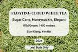 Floating Cloud White Tea Suoi Giang