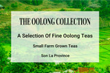 The Oolong Tea Collection