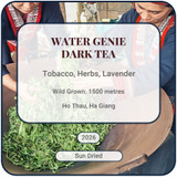 Water Genie Dark Tea Ha Giang Vietnam Shan Tuyet