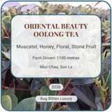 Oriental Beauty Bug Bitten Oolong Tea Vietnam