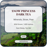 Snow Princess 2025