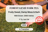 Forest Genie Dark Tea 2024 Y Ty Vietnam