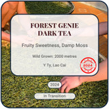 Forest Genie Dark Tea 2024 Y Ty Vietnam