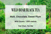 Wild Boar Black Vietnam Tea