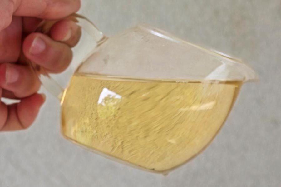 Silver Dew White Tea. Wild shan tuyet Vietnam white tea