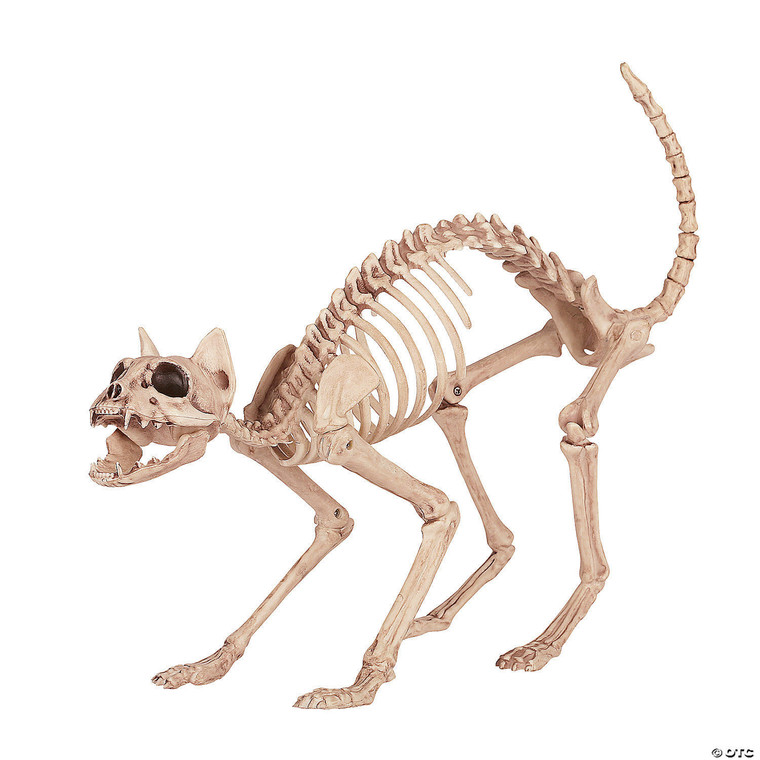 Skeleton cat M680-SE18071