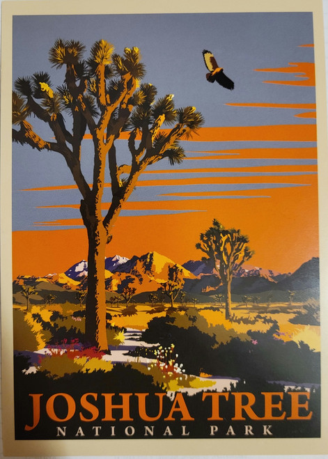 Joshua Tree National Park Souvenir Postcard
4 in x 5.5 in

