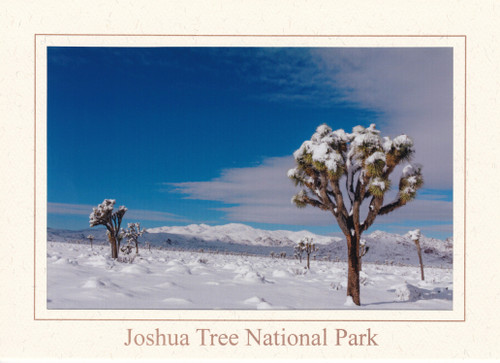 Quietude Notecard by Kevin Powell

An early and unusually heavy winter storm blankets Joshua Tree National Park's Lost Horse Mine and the Park's highest summit, Quail Mountain (5814') with a soft layer of snowy brilliance. 