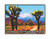 Joshua Tree National Park Queen Valley Road Magnet