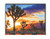 Joshua Tree A New Day Magnet