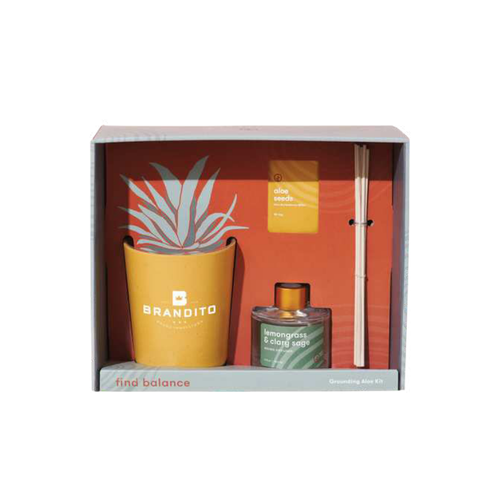 Modern Sprout Aloe Care Kit 