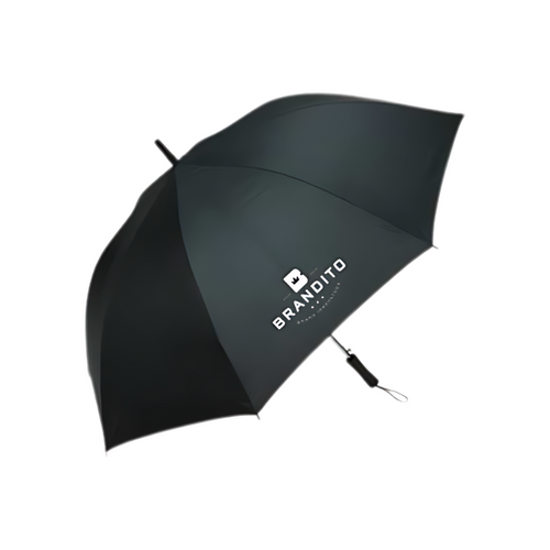 Auto-Open Umbrella 
