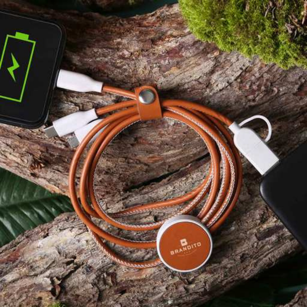 TerraTone 3-In-1 Charging Cable