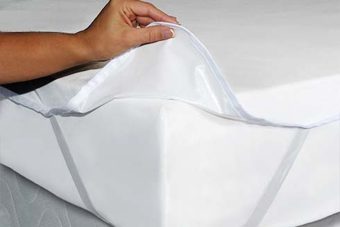 Box Spring Bed Bug Protection Encasement