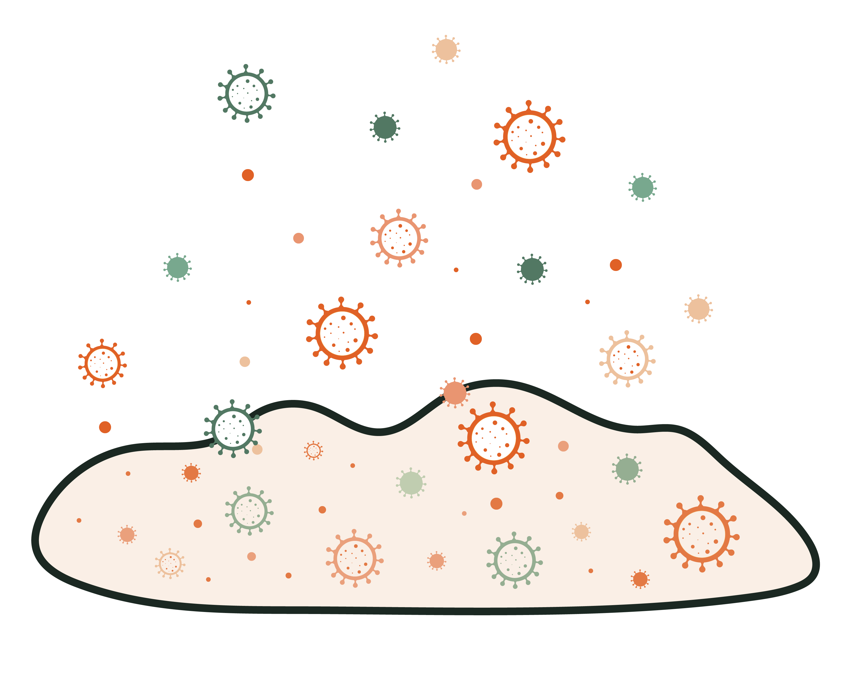 biofilm builds up as bacteria settle on a surface together and form colonies